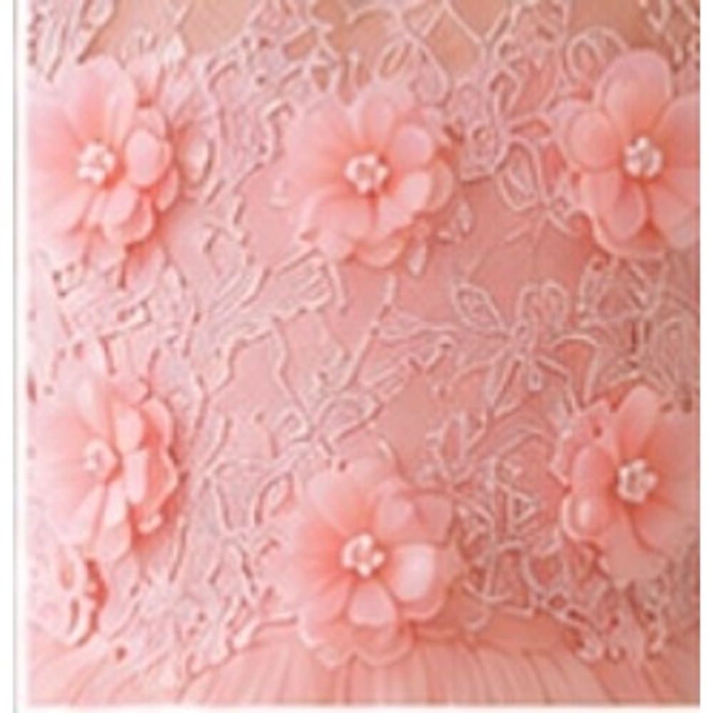Girls Blush Pink High Low Flower Girl Dress Lace Tulle Pageant Wedding Train - Picture 3 of 10